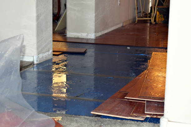 Professional Basement Flooding technician working in Barry, TX